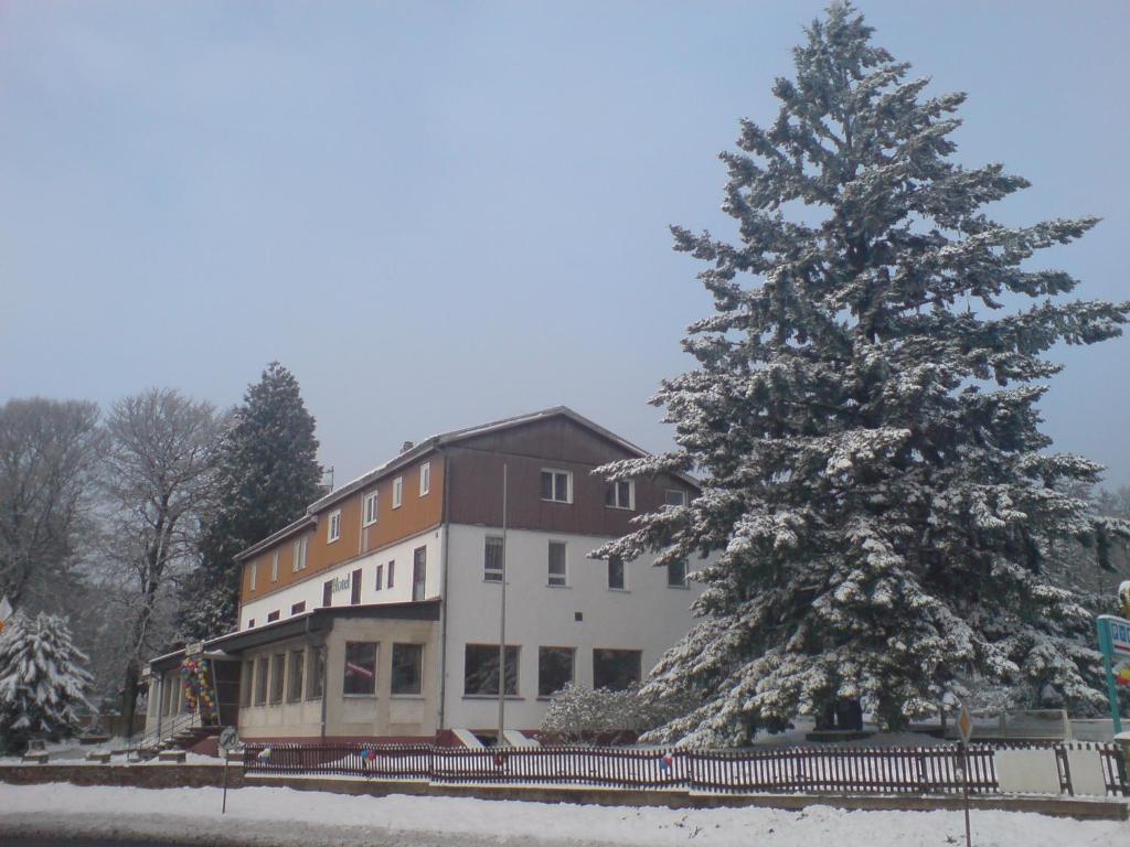 Hotel Sandplacken Schmitten Extérieur photo